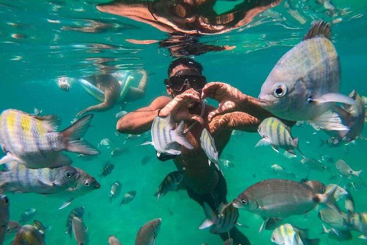 Excursão de Dia Inteiro em Angra dos Reis com Almoço
