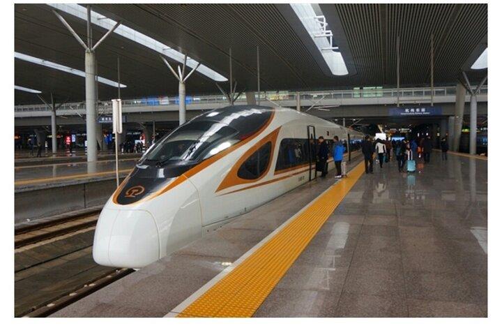 Excursion privée d'une journée à Shenzhen au départ de Canton en train ou en voiture privée