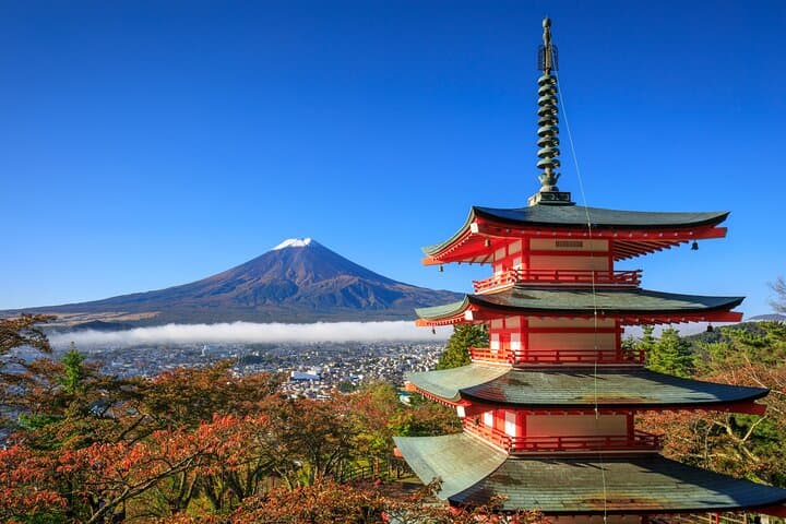 Mt. Fuji or Hakone Private Sightseeing Day Trip From Tokyo