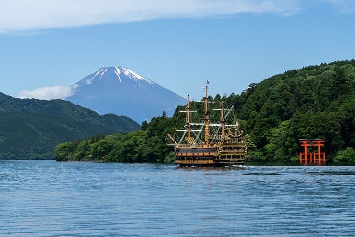 Mt. Fuji or Hakone Private Sightseeing Day Trip From Tokyo