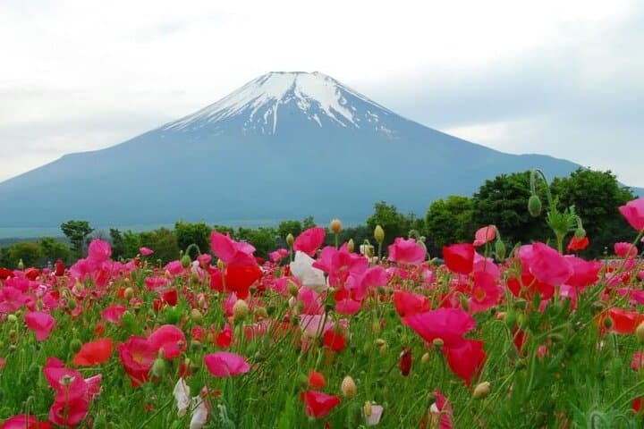 Private Full-Day Guided Tour in Mount Fuji Lakes