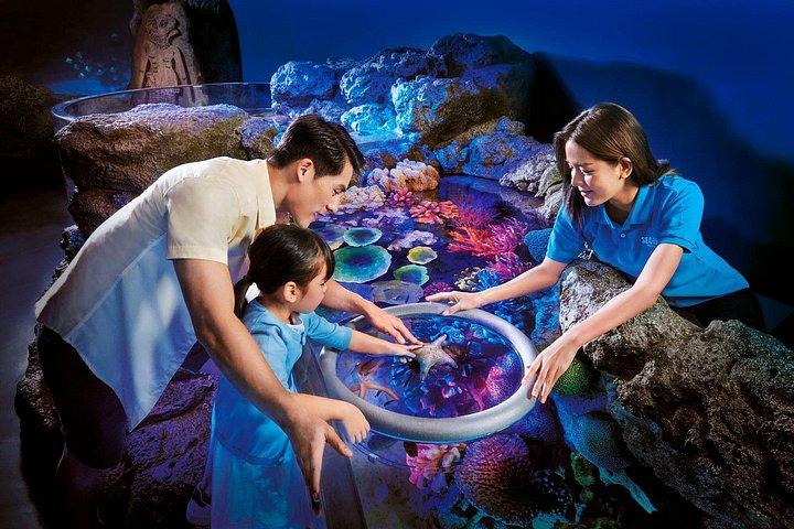 Eintrittskarte für SEA LIFE Bangkok Ocean World und Madam Taussauds