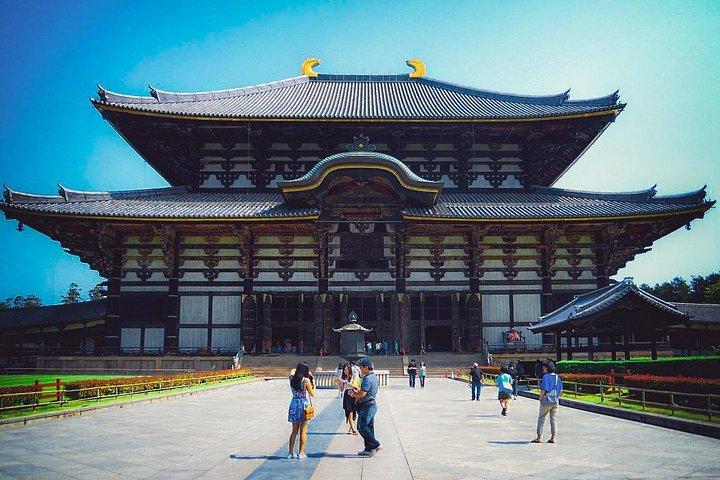 大阪＆奈良1日プライベートバンで行くローカルエキスパートガイド付き