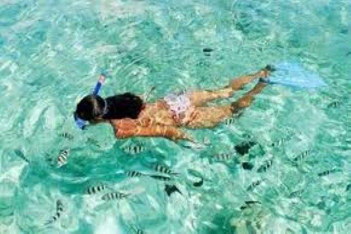Marsa Mubarak: intro Diving & Sea Trip including (Transfer&Lunch)