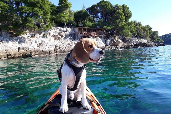 Tour in kayak mattutino zen con Mario