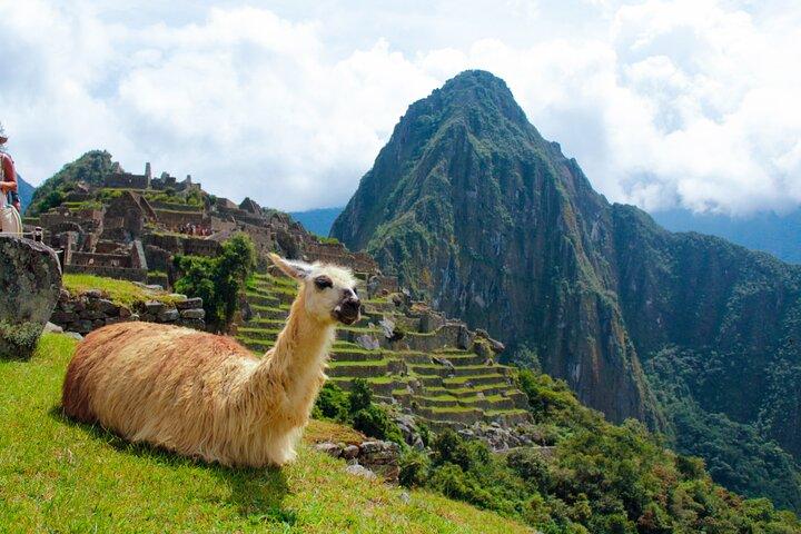 7-Day Tour of Lima, Cuzco, Sacred Valley and Machu Picchu