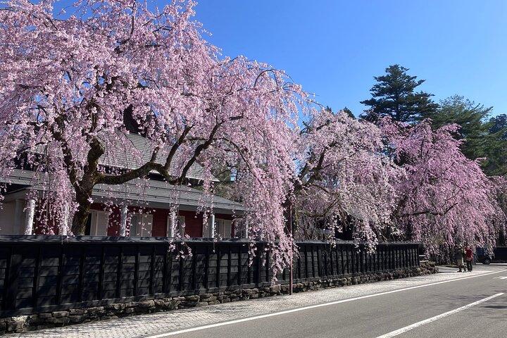 Noleggio biciclette con assistenza elettrica / Satoyama Cycling Tour