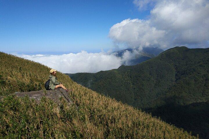 台北の陽明山国家公園周辺の 1 日ハイキング