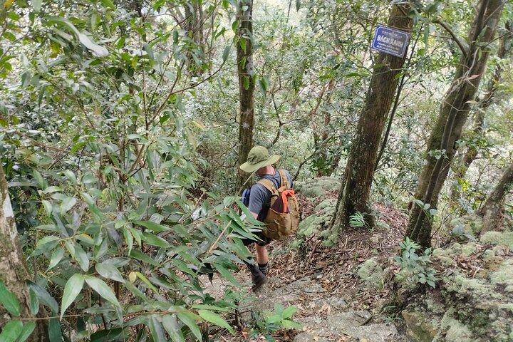 Randonnée guidée privée d'une journée dans le parc national de Ba Vi