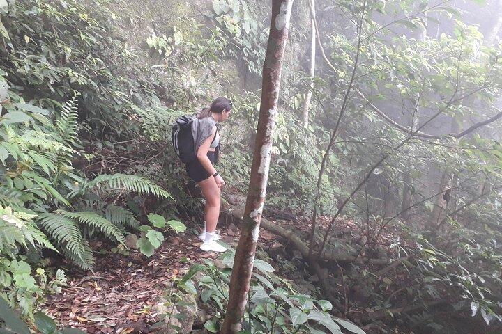 Excursión privada de día completo de senderismo guiado del Parque Nacional Ba Vi