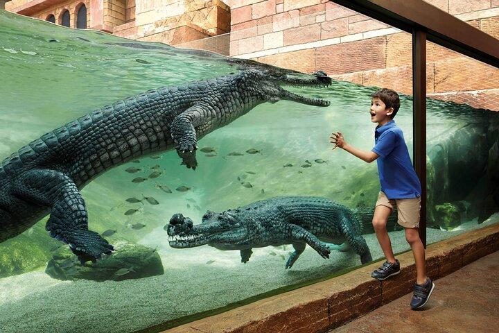 Singapore Bird Park & River Wonder (Tickets & Transfer)