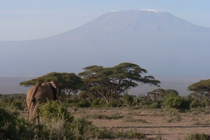 8-Day Private Safari Tour in Nairobi Kenya