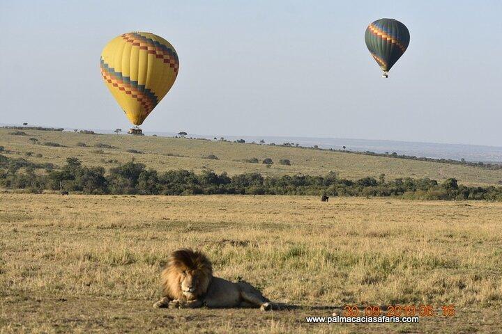 8-Day Private Safari Tour in Nairobi Kenya