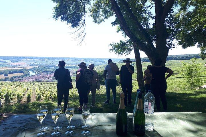 Dégustation de champagne, balade panoramique dans les vignes