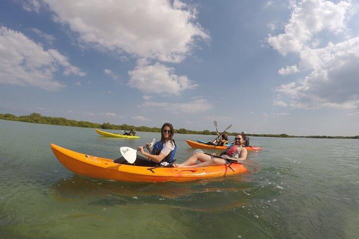Aventura de caiaque na ilha roxa de mangue