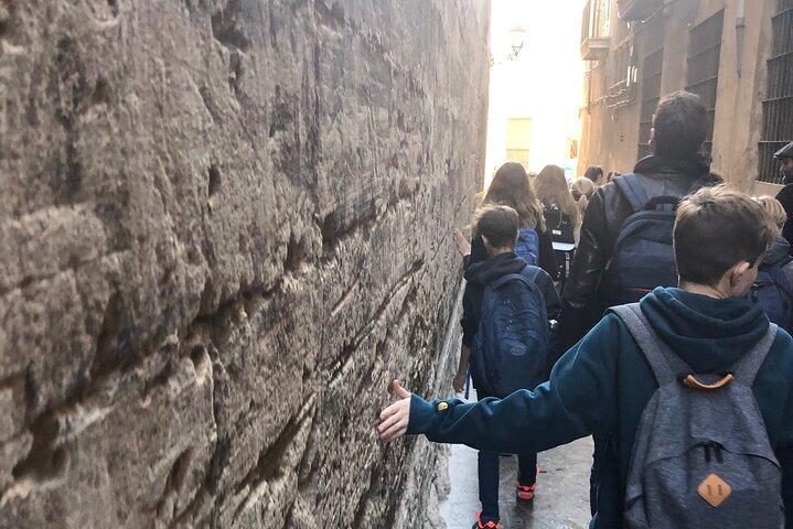 Visite privée à pied de 2 heures dans le quartier juif de Palma