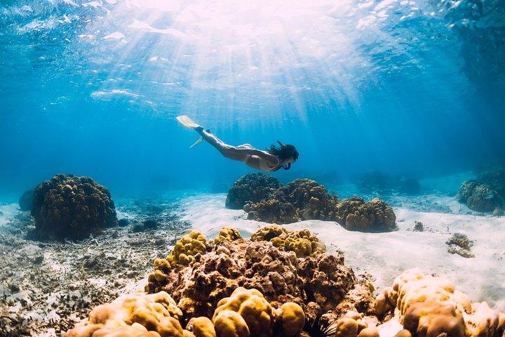 オールインクルーシブのプライベートクルーズ：デロス島とレニア島への無料送迎