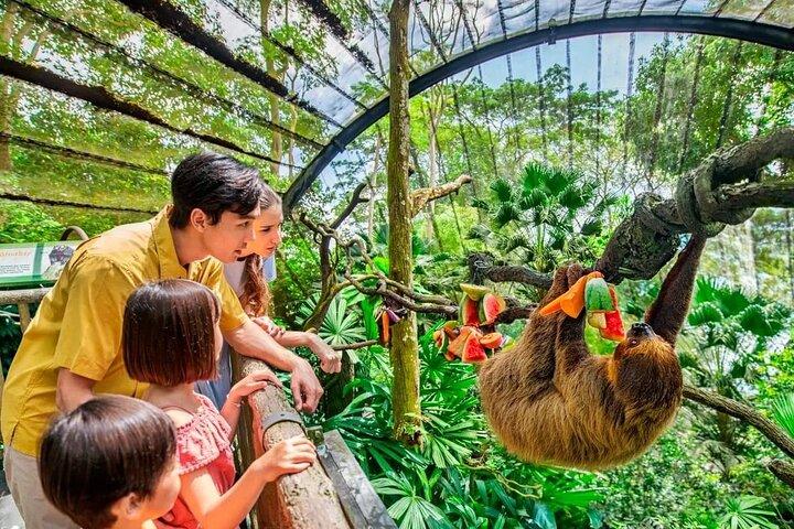 Zoológico de Cingapura e Safari Noturno Dia (ingressos e traslado)