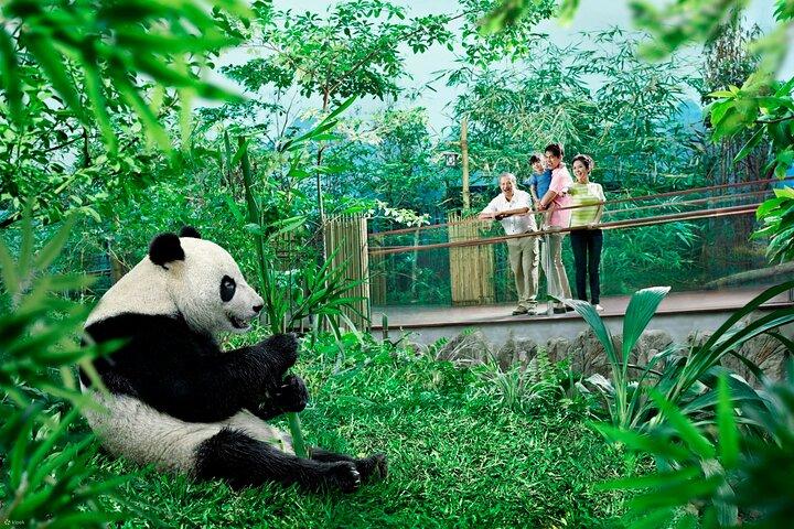 Singapore Zoo & Night Safari-dag (tickets en transfer)