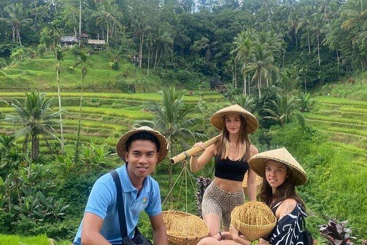 Visite privée et tout compris d'Ubud 1 - Journée