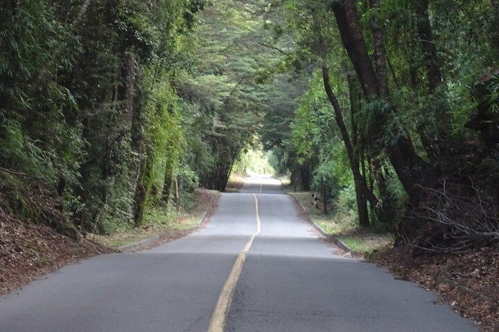 Puerto Varas, Petrohué Falls, Osorno Volcano, Cochamó, PRIVAT