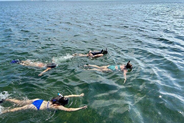 サウス パドレ島での 3 時間のシュノーケリング ツアー