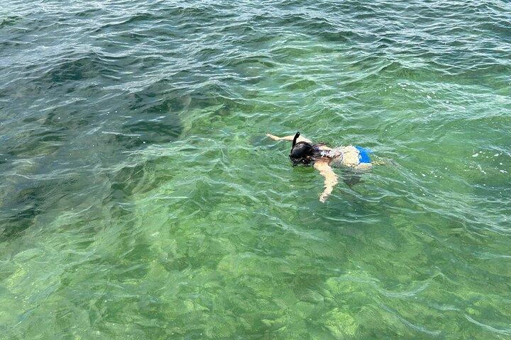 サウス パドレ島での 3 時間のシュノーケリング ツアー