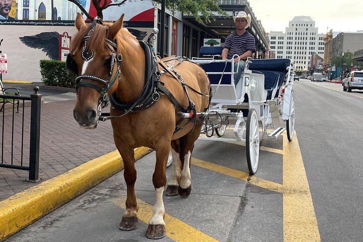 Tour in carrozza privata di Galveston