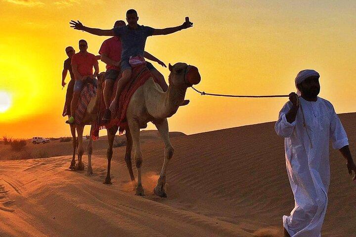 Private Sonnenuntergangssafari mit extremem Dune Bashing und Kamelreiten
