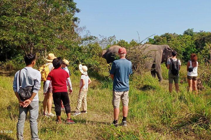 Kulen Elephant Forest & Tonlesap Lake