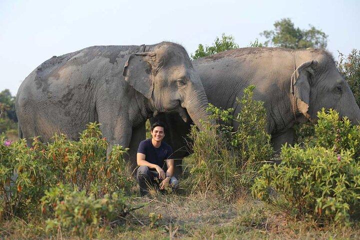 Kulen Elephant Forest & Tonlesap Lake