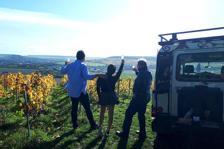 Dégustation de champagne, balade panoramique dans les vignes