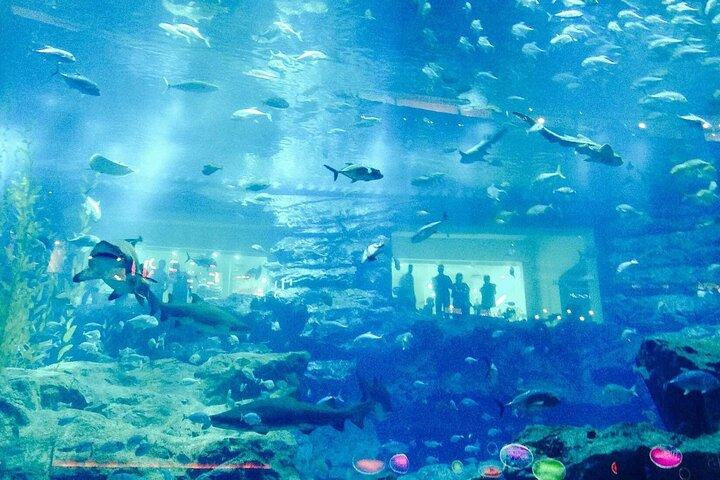 Lost Chamber Aquarium a Dubai