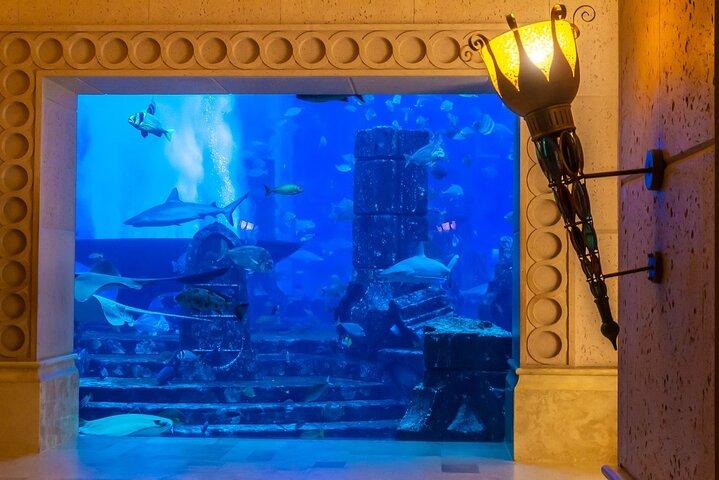Lost Chamber Aquarium a Dubai