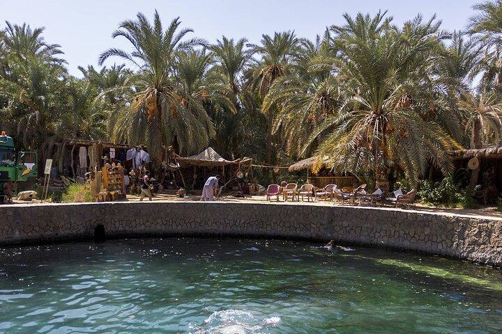 Explorando o encantador oásis Siwa do Cairo