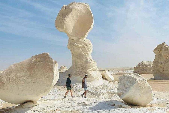 カイロ発、ユニークな白砂漠を探索する 2 日間