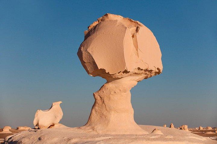 カイロ発、ユニークな白砂漠を探索する 2 日間