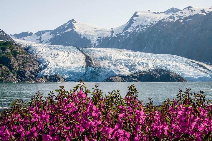 Seward à Anchorage Croisière Transfert et visite de la faune