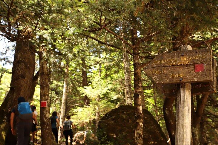 Private Hiking Tour in Athens at The Peak of Taygetos Mountain