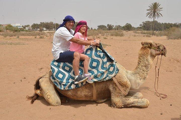 Agadir Camel Ride: Flamingo River, Eucalyptus Forest & Berber Tea