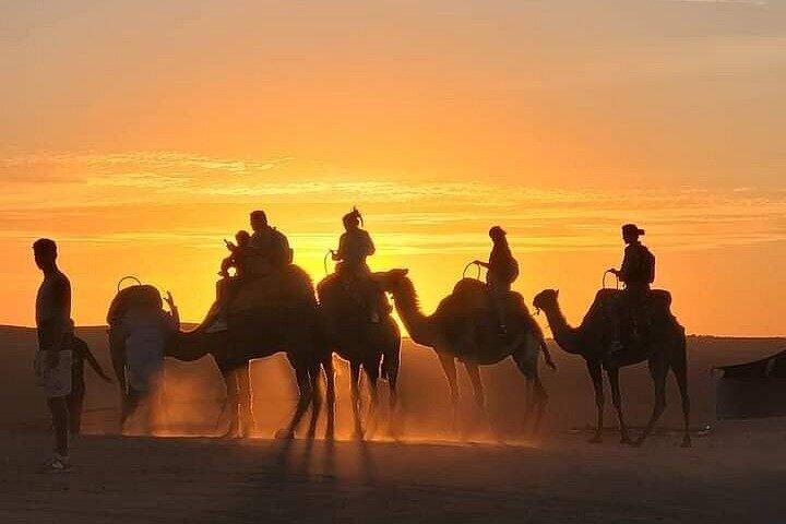 Camel Ride at Agafay Desert