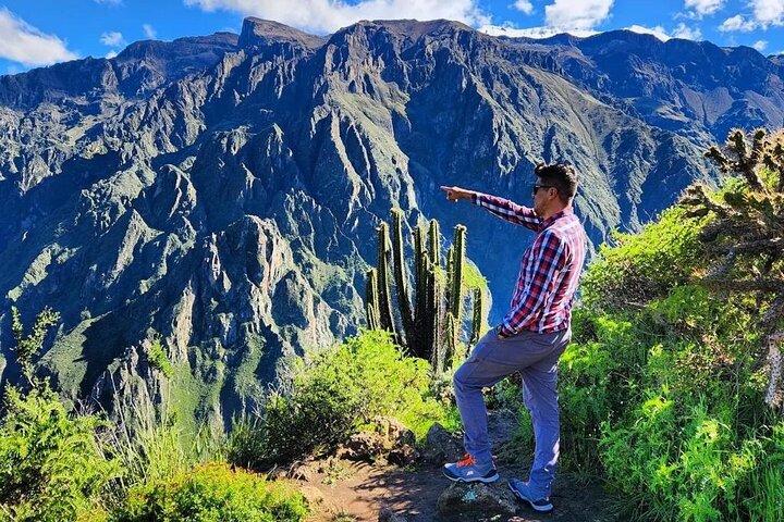 3-dagars Colca Canyon-vandring med professionell guide
