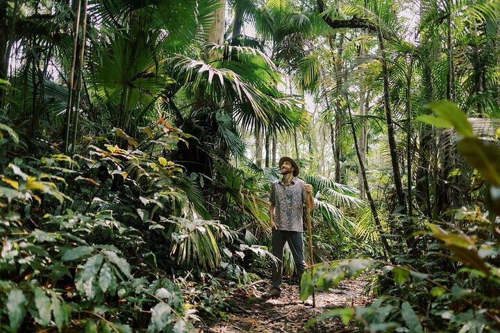 Tour della giungla montana del santuario della foresta di Kona Cloud (2,5 ore)