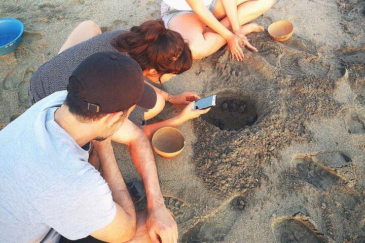 Olive Ridley Turtle Release-ervaring