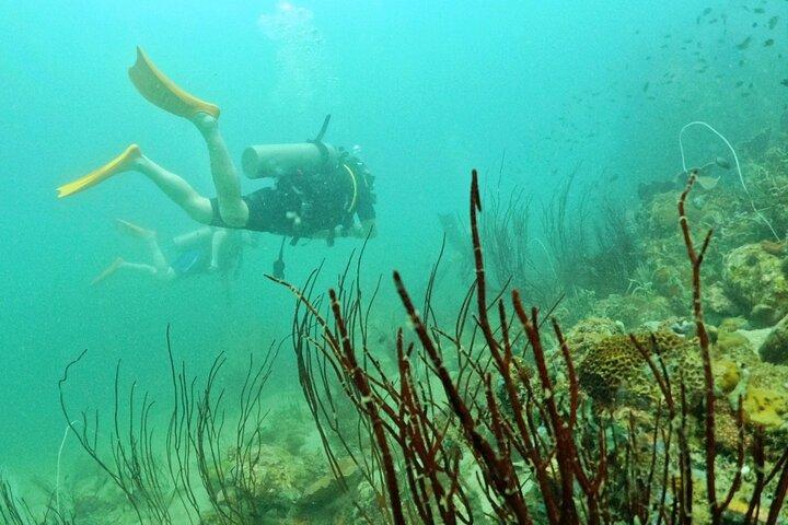 [GRUPPE] SCUBA DIVING für zertifizierte Taucher in Phu Quoc Island