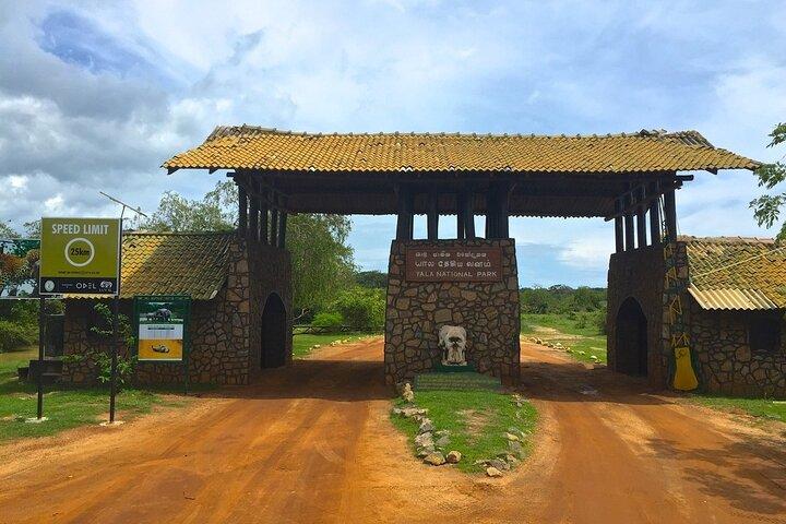 Dagsudflugt til Yala National Park fra Colombo