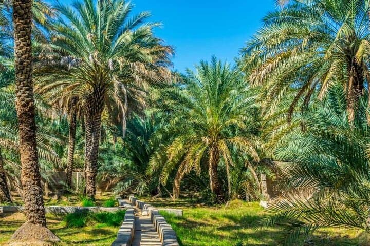 Private Al Ain Tour by 4x4 Vehicle with Zoo Tickets