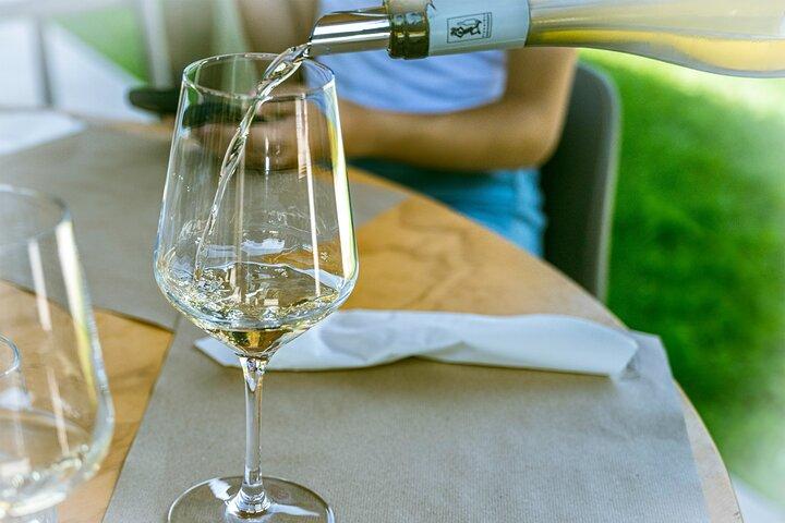 Valle del Sole Degustazione 3 Vini e Olio EVO