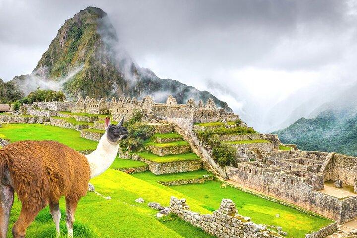 8 Tage ab Lima: Cusco, Heiliges Tal, Machupicchu, Titicacasee