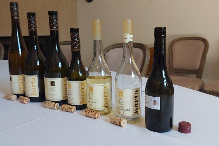 Tour do Vinho Tokaj
